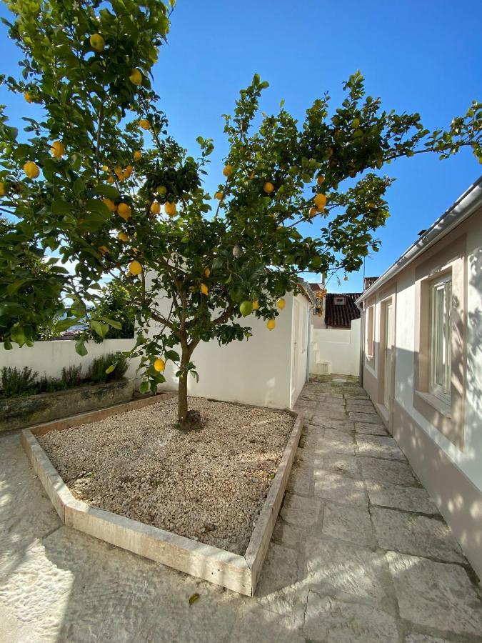 Se Velha Studios Coimbra Buitenkant foto
